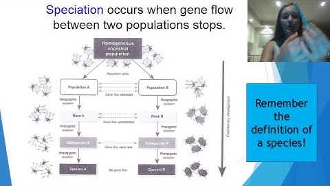 Week 4 Lesson 2: Speciation (Clinal Variation)