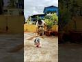Moments You Can't MissPure Vibes OnlyWatch Till the End! #viral #shorts