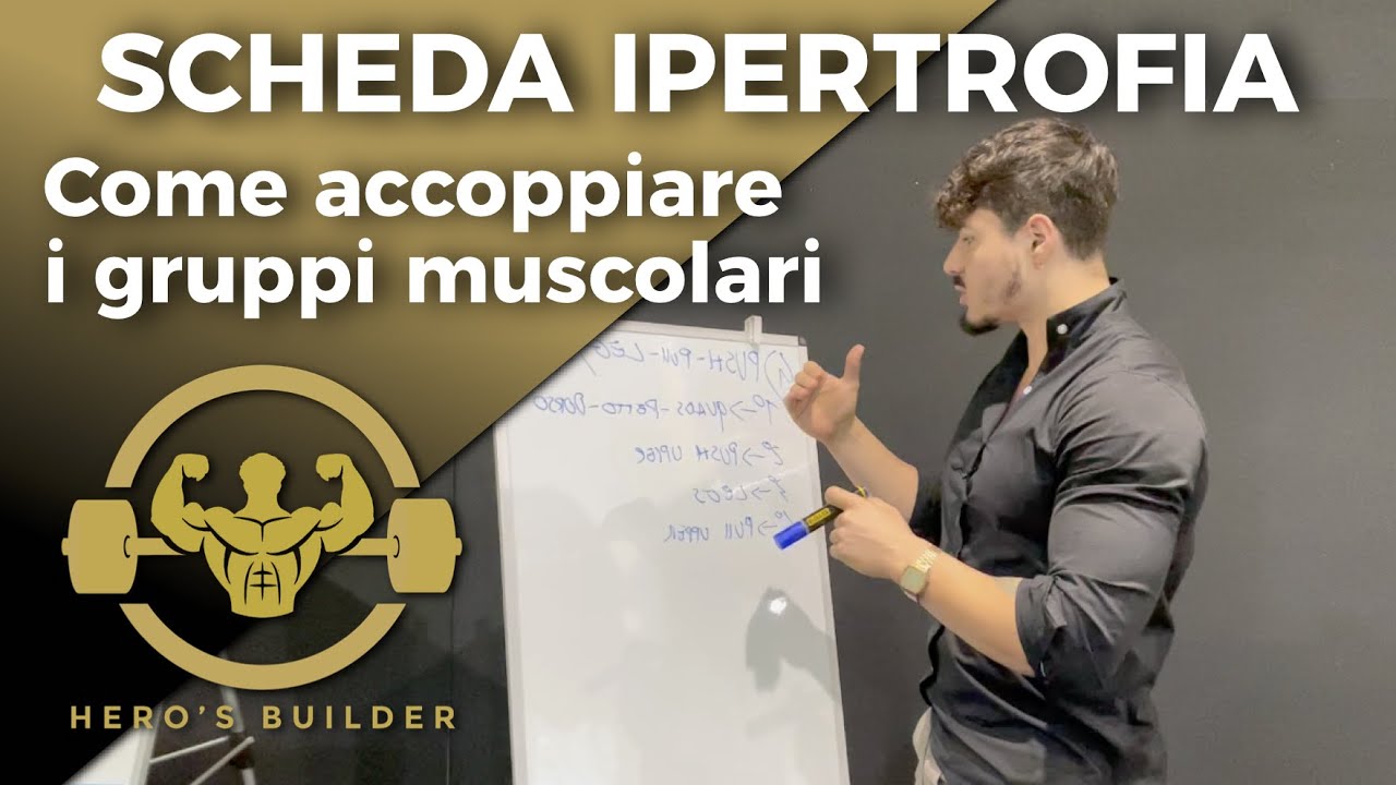 SPLIT di allenamento, ASSOCIARE i gruppi muscolari nel BB YouTube SPLIT di allenamento, ASSOCIARE i gruppi muscolari nel BB YouTube