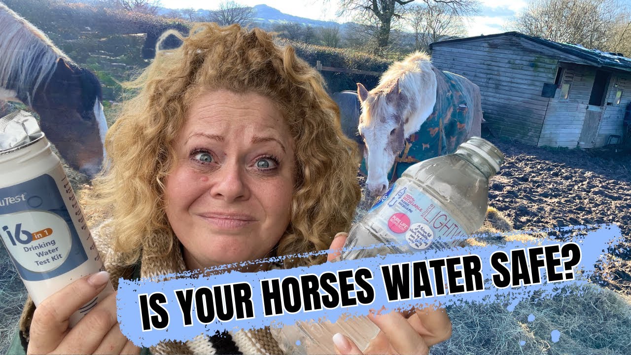 Is your horses water safe? Drinking water test on a budget.