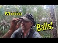 Exploring And Digging Minie Balls