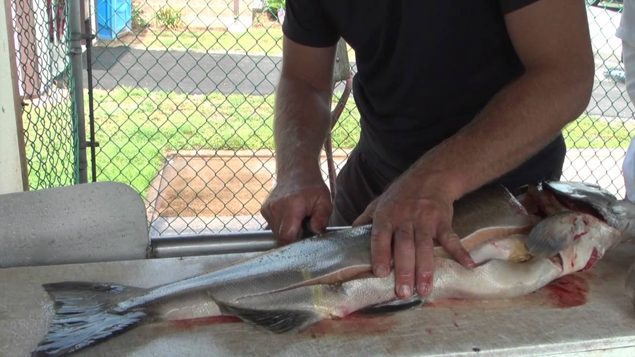 Dexter V-lo Fillet Knife In Action 