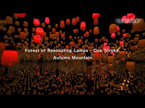 Forest of Resonating Lamps   One Stroke, Autumn Mountain