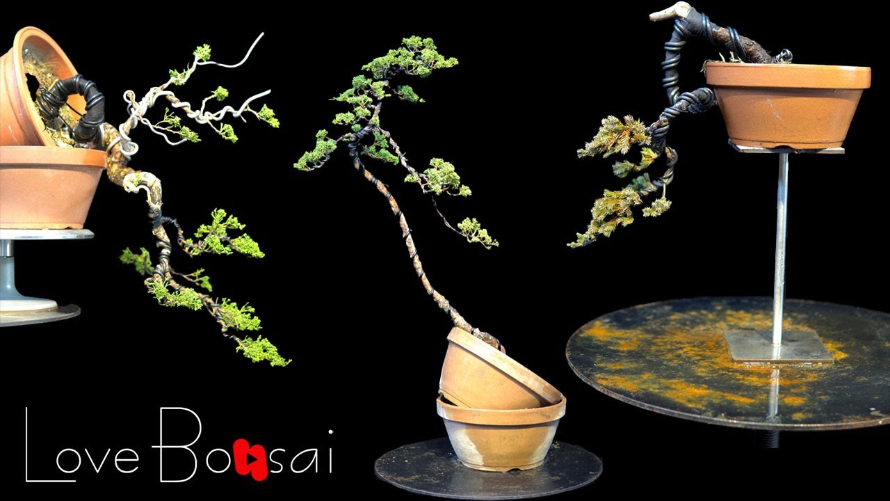 great bonsai bending skills ▶2