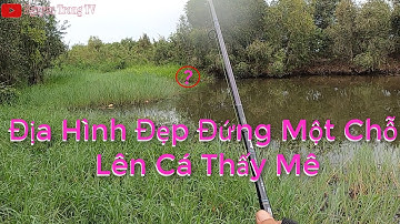 Câu Cá Lóc Ngoài Tràm Chim #39 Đứng Một Chỗ Lên Cá Thấy Mê | Nguyen Trong TV