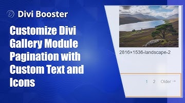 Customize Divi Gallery Module Pagination with Custom Text and Icons