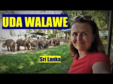 Video: Kde žijú Slony