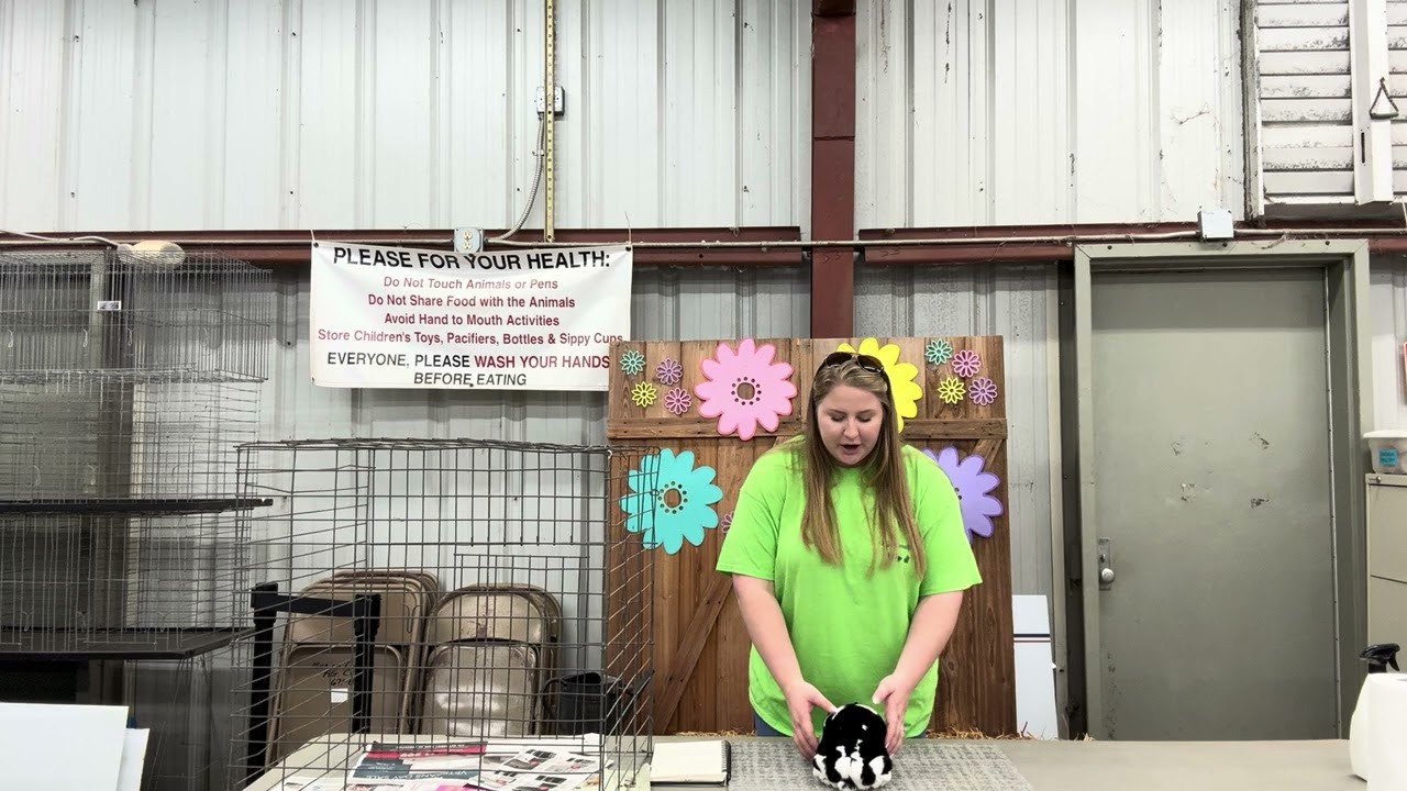 Rabbit  Handling & Flipping