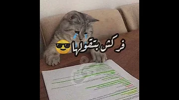 فركش 