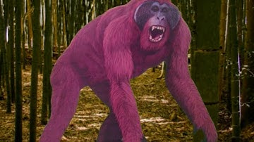Why Did Gigantopithecus Go Extinct?