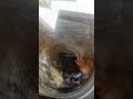 🔧 Real Tech | Top Load Washing Machine Sound Problem Solved ✅