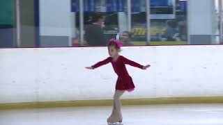 Lexi Suarez   Basic 3   Kendall   March 2021