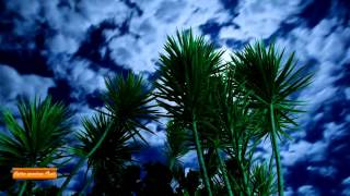Natures Whisper (Native American Music~432hz~)