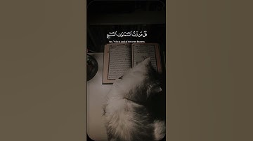 سورة المؤمنون الايه الكريمه ٨٤. #راحة_نفسية #قرآن #سورة_المؤمنون