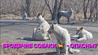 УСТЬ-КАМЕНОГОРСК - Тарханка с 20 Марта по 20 АПРЕЛЯ