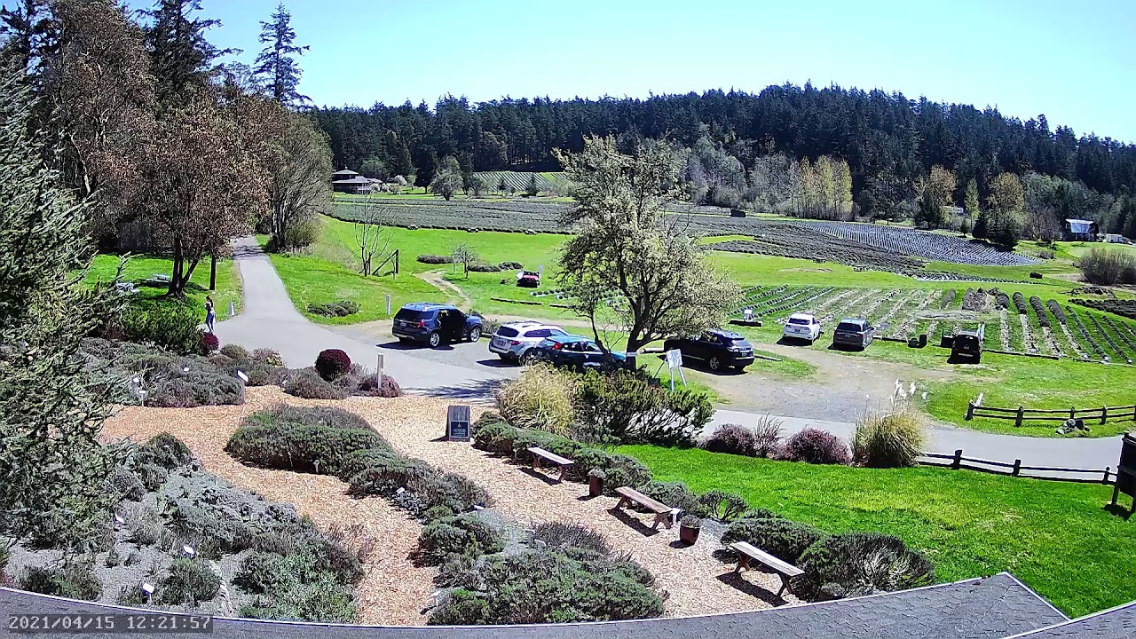 Pelindaba Lavender Farm - San Juan Island