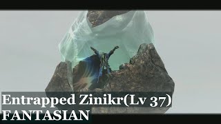 FANTASIAN: Entrapped Zinikr (LV 37)