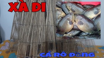 . Bán Xà Di Đặt Cá Rô Đồng Zalo 0857438940 đt 0832969373.#trainghiem vlogs .
