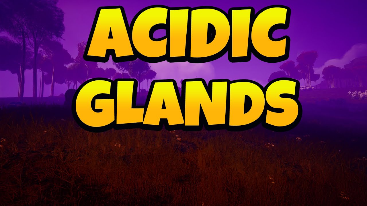 Как у Икара появились кислотные железы