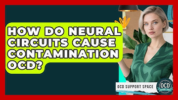 How Do Neural Circuits Cause Contamination OCD? - OCD Support Space