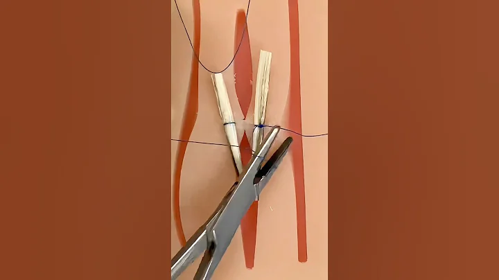 History of Quilled Sutures 😷  #goodtoknow #suturing #surgeonlife #funfacts #vet #medicine #medical