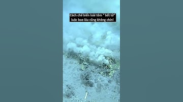 Cách chế biến loài tôm bất tử! #shorts