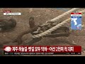 ´봄기운 가득´ 4월 첫 주말...곳곳 나들이객 북적 / YTN