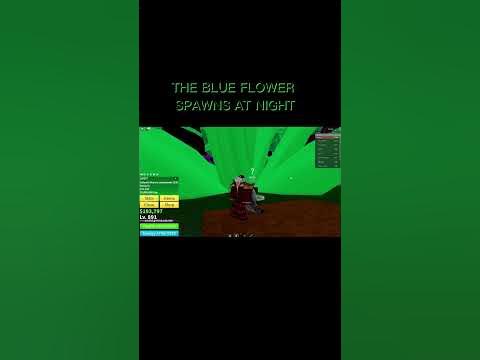 THIS IS HOW TO GET SHARK V2 #roblox - YouTube