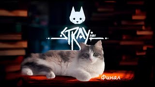 видео: Stray. Часть 4. Блин, уже ФИНАЛ! картинка: Stray. Часть 4. Блин, уже ФИНАЛ!