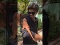 🐲Dragon Balli🦎 #raghuramraja #kaccheraaste #funny #zoo #fun #iguana #pets #vlog#trending #viralshort