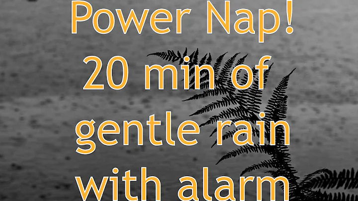 Ambient nature sounds for power nap: Gentle summer rain 20 min + 1 min wake- up buzzer