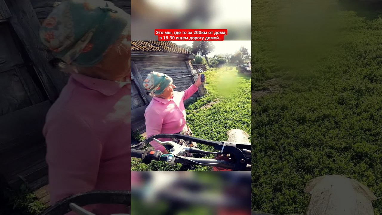 Заблудились в лесу 