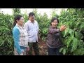 Vietnam sustainable farming for higher productivity and a better environment