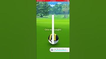 Field Research Shiny Onix plus Evolution into Shiny Steelix in Pokémon Go #pokemongo #shinypokemon