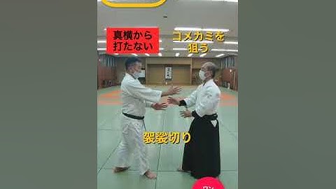 横面打ち四方投げ（一）