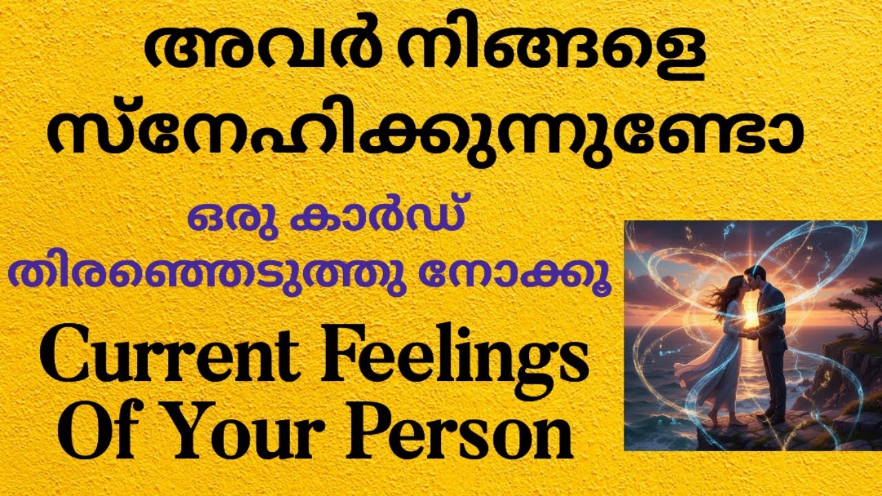 നിങ്ങളുടെ വ്യക്തി നിങ്ങളെ സ്നേഹിക്കുന്നുണ്ടോ? | Malayalam Tarot Card Reading