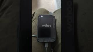 New Wahoo Roam caught in a boot loop.