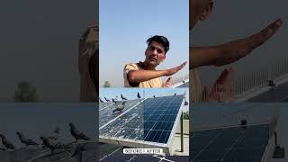 Bird Spikes for Solar Panel with Stand