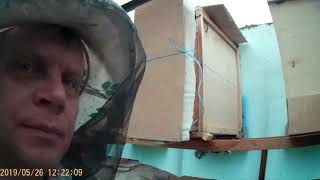 Ревизия пакетов, купленных на Краснополянской Опытной Станции Пчеловодства