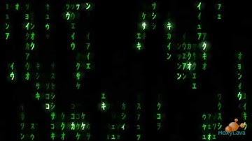 Animation - Matrix Raining - Code - After Effects