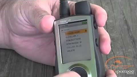 CanadaPets Videos - SportDOG TEK Series - Setting Up Your Dog