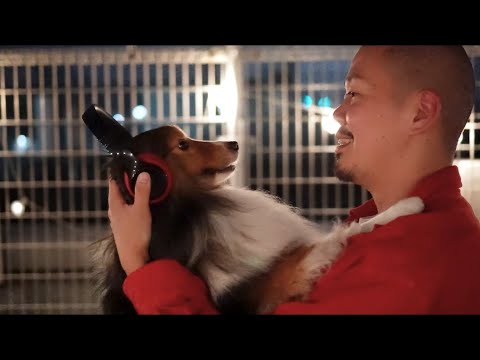 【愛犬との夏】MySummer2024