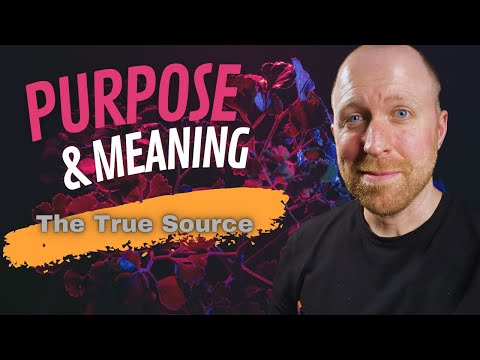 Where Does Purpose