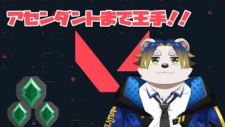 【アセンダント行きます】VALORANT目指せアセンダント！現在ダイヤ3