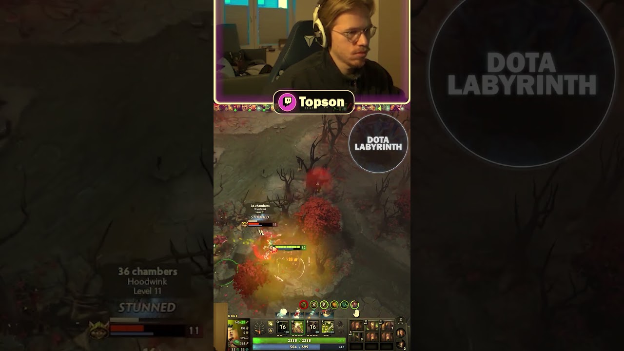 Even Topson Didn't Expect To Hook That Good in Dota 2 