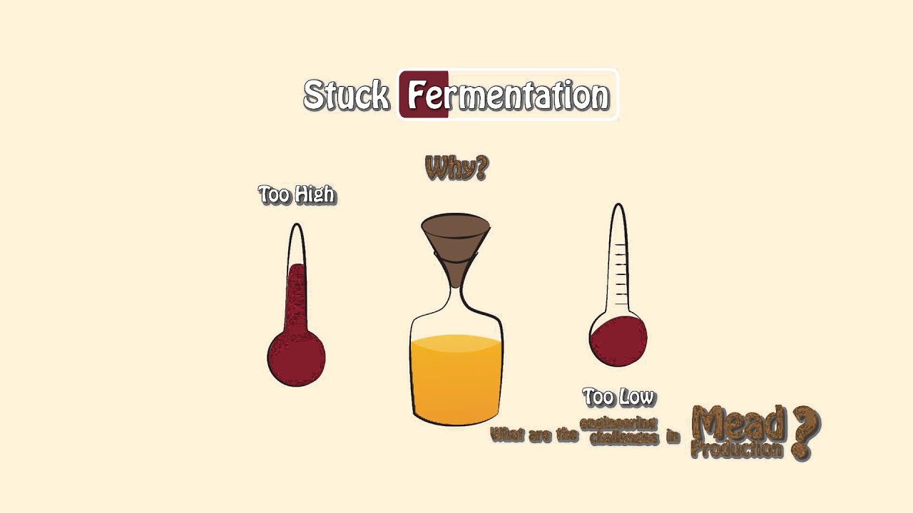 biochemical process showcase video - YouTube
