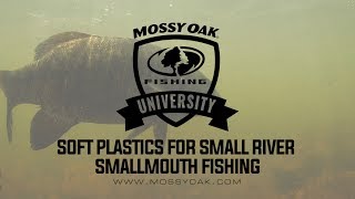 Best Soft Plastics for Catching Smallmouth Bass on Small Rivers screenshot 5
