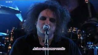 The Cure - Just Like Heaven TRADUÇÃO (Live Bercy)
