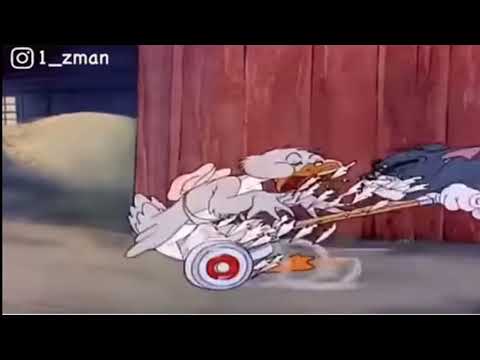 فطيم فطومه القديم توم اند جيري