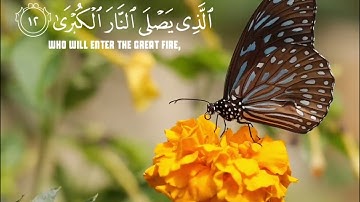 فذكر إن نفعت الذكرى - سورة الأعلى - تلاوة خاشعة